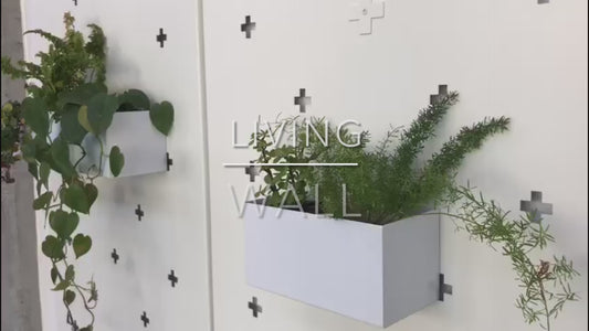 Living Wall